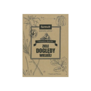 Grindelia Doględa wielka ziele 50g FARMVIT