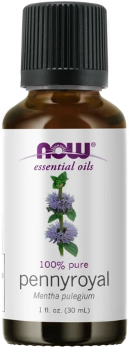 Olejek eteryczny OIL PENNYROYAL OIL 30ml NOW FOOD'S