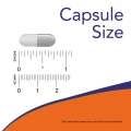 0447_capsule_size.png