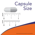 0075_capsule_size.png