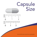 3232_capsule_size.png