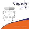 0089_capsule_size.png