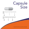 0105_capsule_size.png