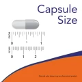 1544_capsule_size.png