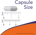 TEST_2025_Capsule_Size_WEB_TEST.png